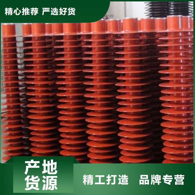 氧化锌避雷器【熔管】把实惠留给您