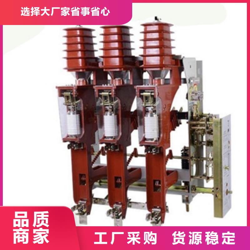 高压负荷开关HY5WS-17/50避雷器真材实料