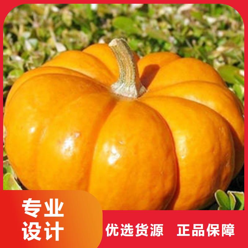 南瓜丁_紫薯粉满足客户需求