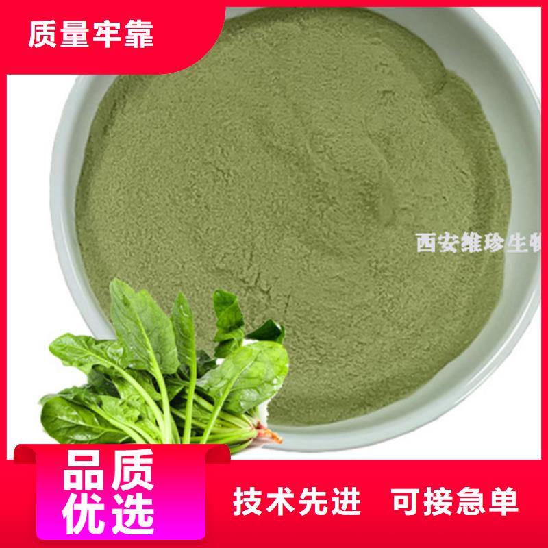 菠菜生粉供应