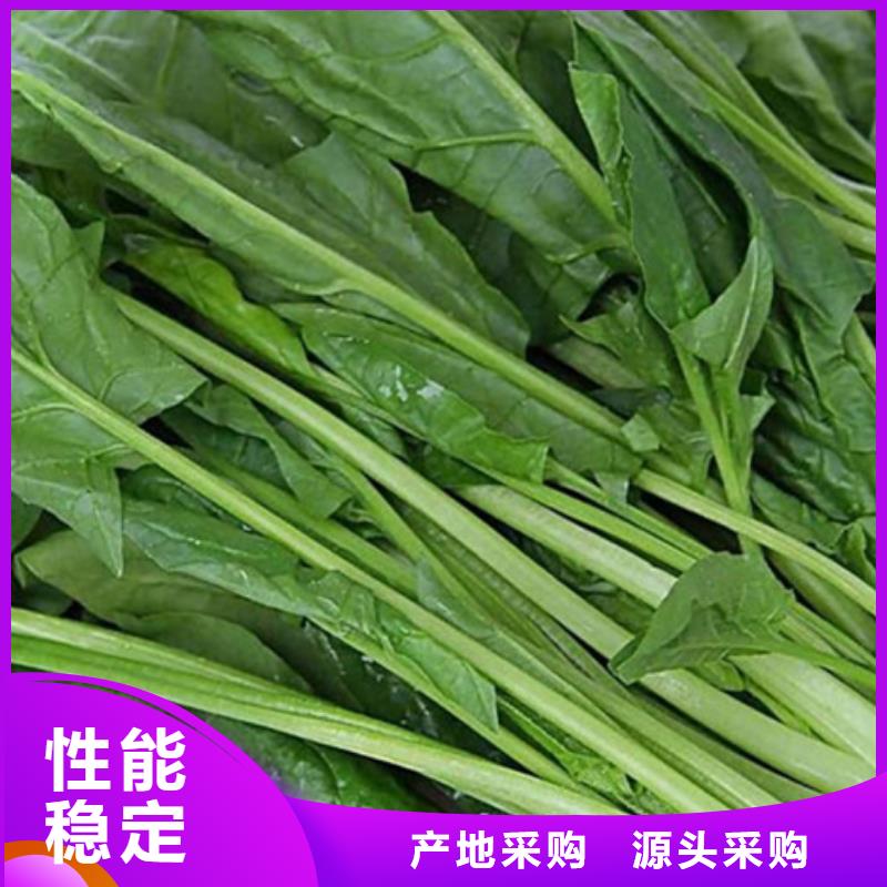 菠菜熟粉实体厂家