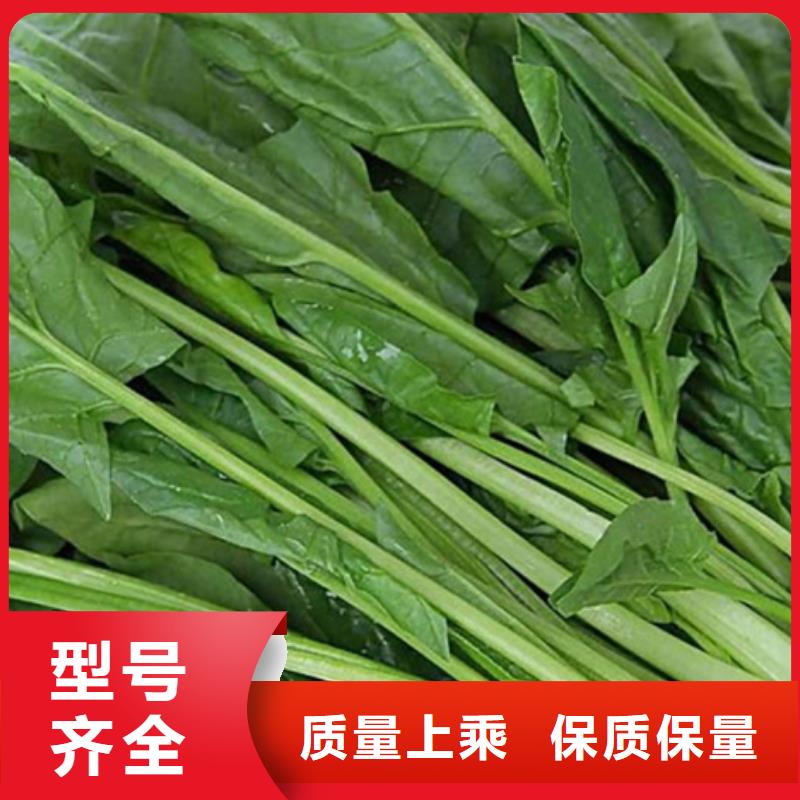 保亭县菠菜熟粉厂家