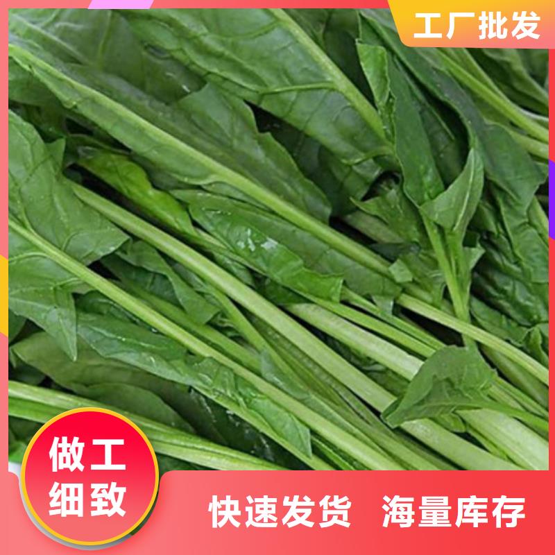 菠菜粉现货充足