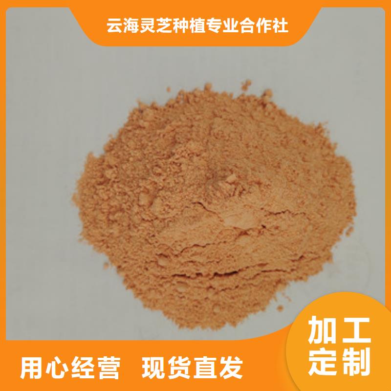 胡萝卜粉破壁灵芝孢子粉专业厂家