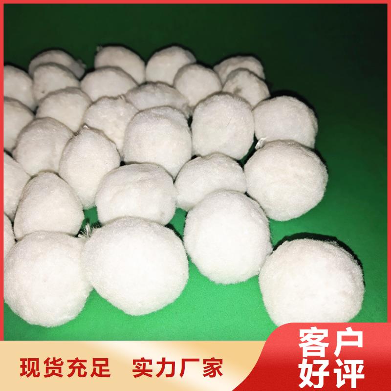 纤维球悬浮球填料您身边的厂家