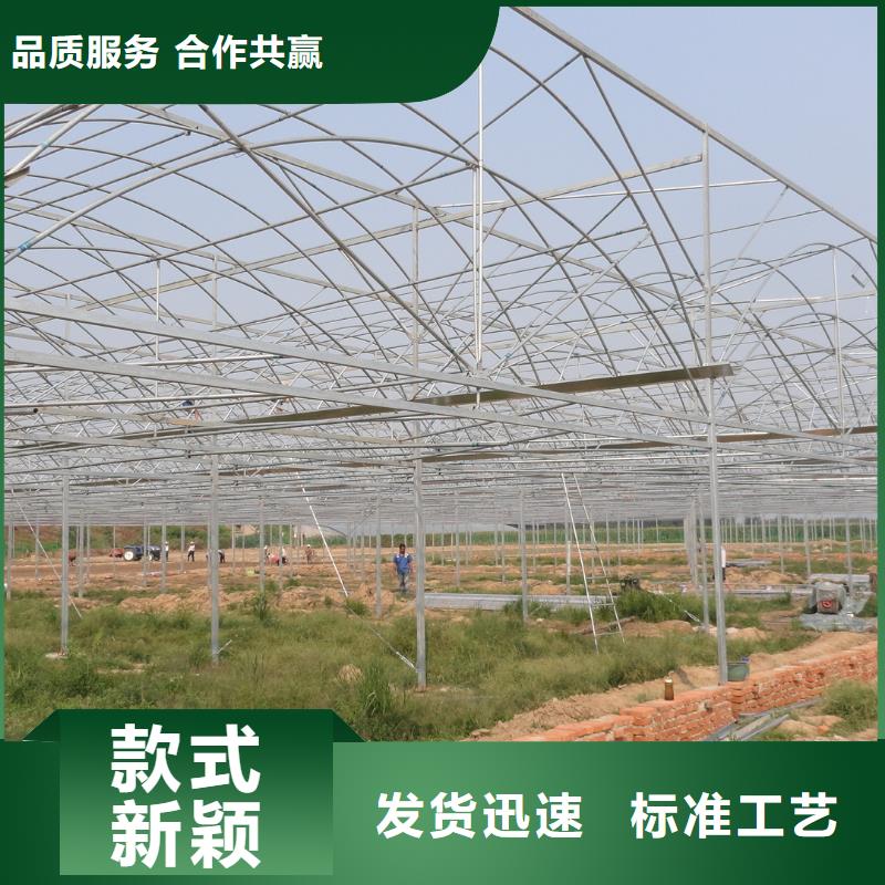 大棚管椭圆管温室大棚严谨工艺