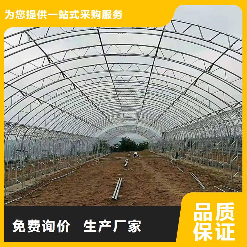 大棚管椭圆管温室大棚严谨工艺