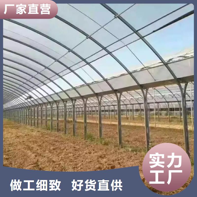 大棚管椭圆管温室大棚严谨工艺