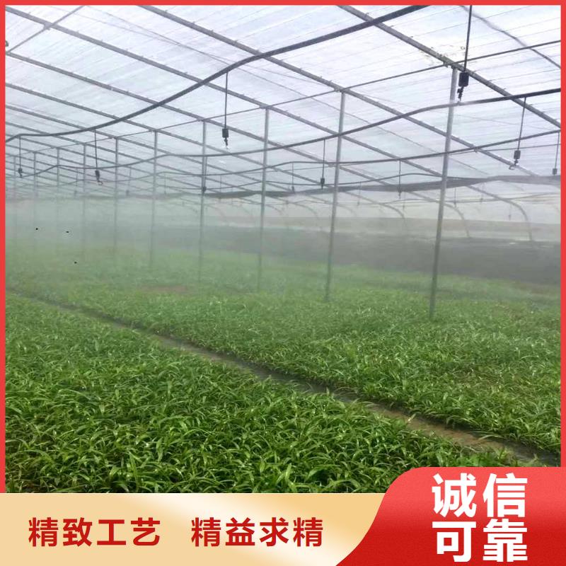 大棚管镀锌方管品牌专营
