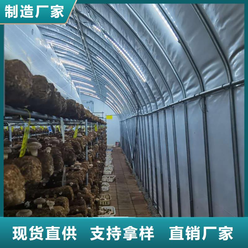 大棚管现货