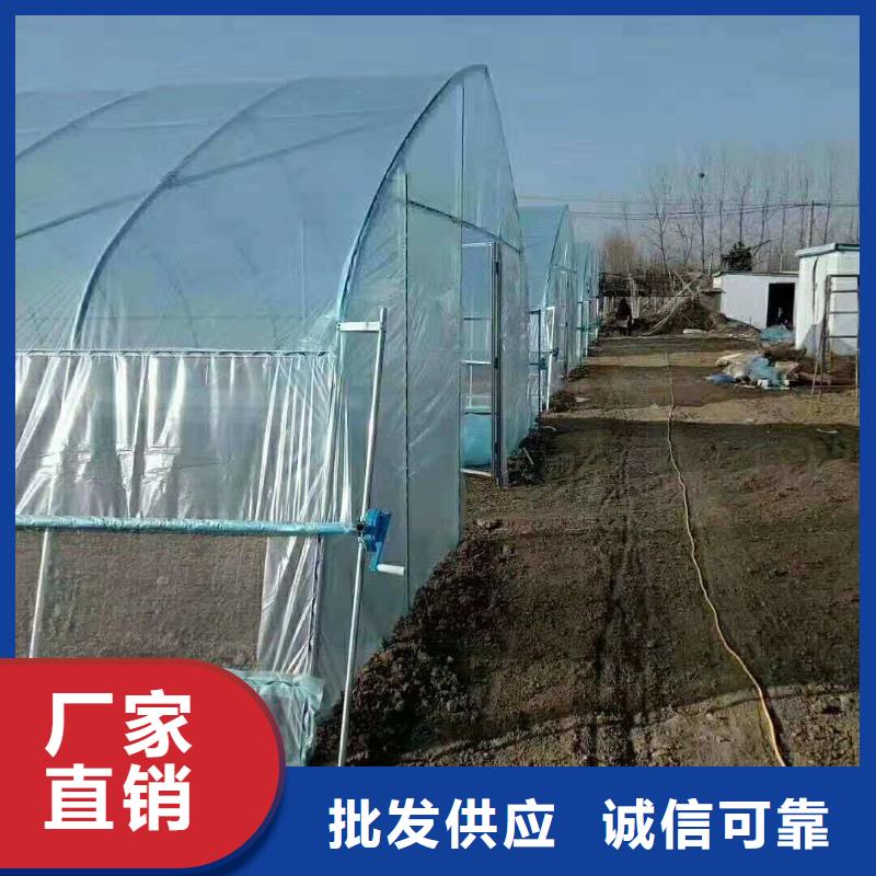 大棚管-镀锌大棚管严选用料