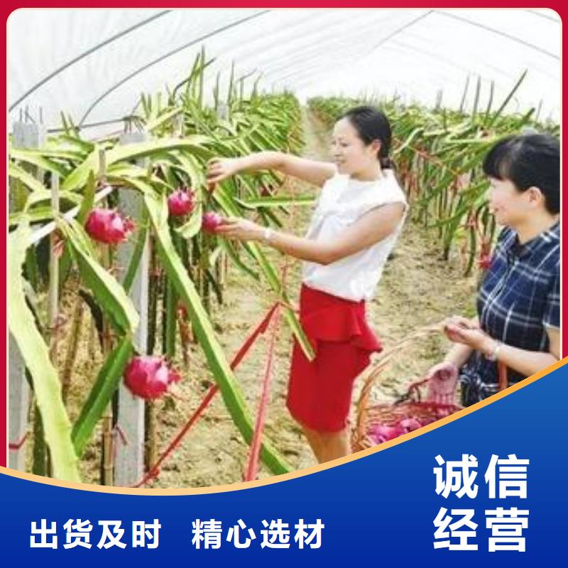 大棚管温室大棚管批发货源