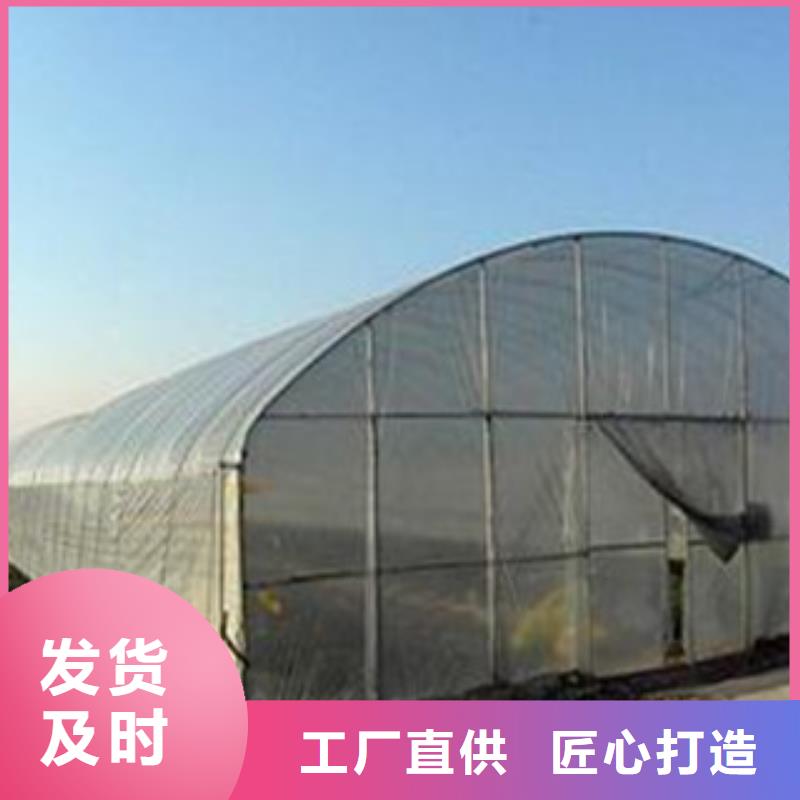 大棚管椭圆管温室大棚严谨工艺