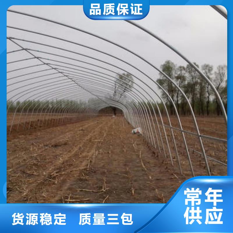 大棚管温室大棚管优选厂商