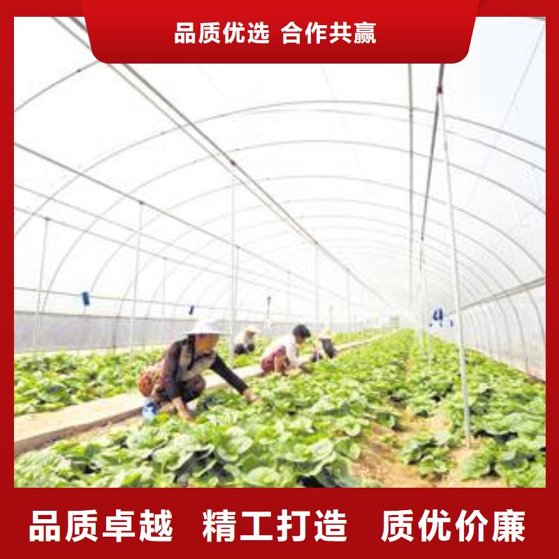 大棚管椭圆管温室大棚严谨工艺