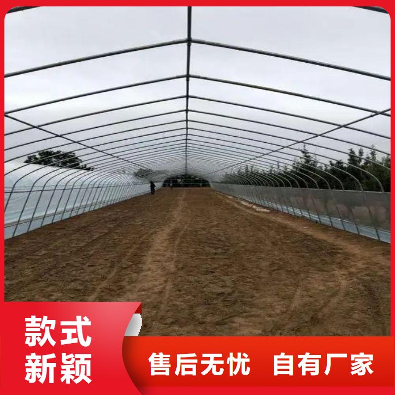 大棚管2椭圆管温室大棚供您所需