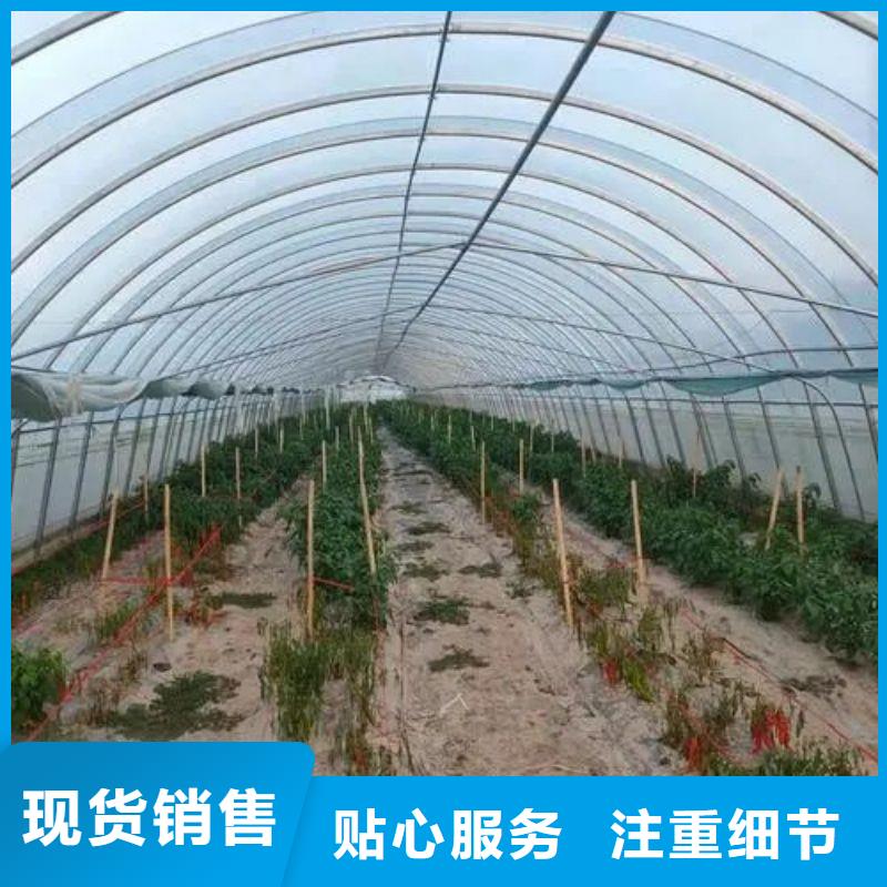 大棚管2连栋大棚管根据要求定制
