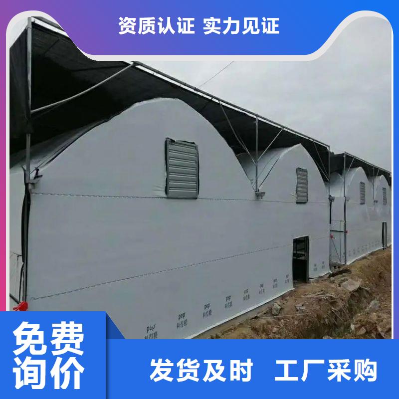 大棚管2椭圆管温室大棚供您所需