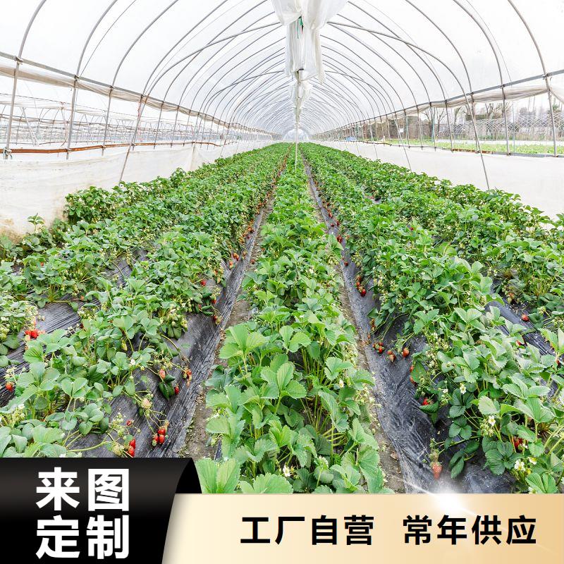 大棚管2连栋大棚管可定制