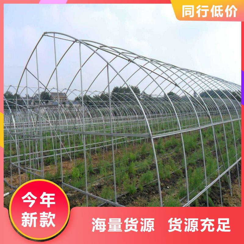大棚管2椭圆管温室大棚供您所需