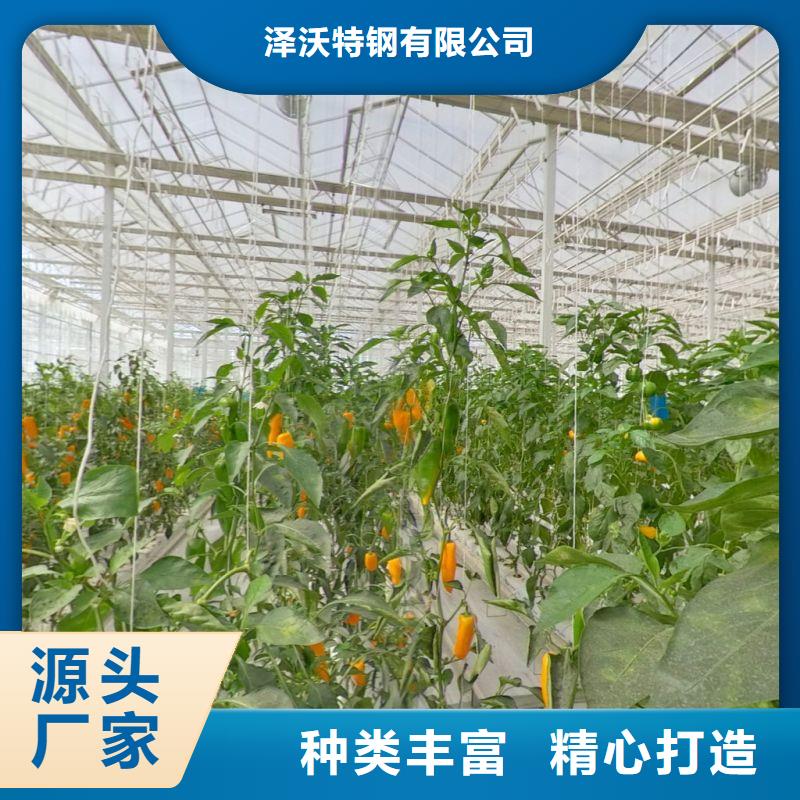 大棚管2椭圆管温室大棚供您所需