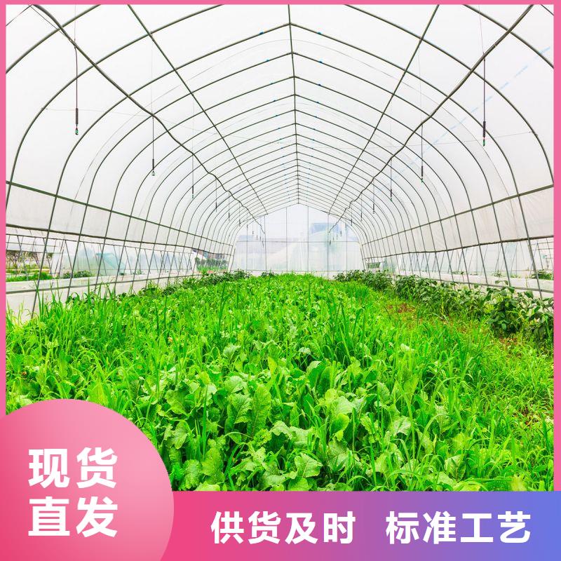 大棚管2温室大棚管匠心品质