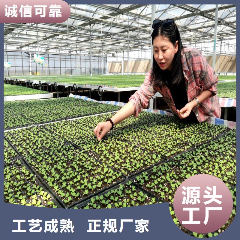 大棚管2连栋大棚管可定制