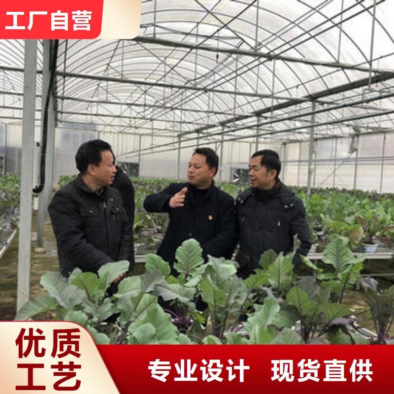 大棚管厂家技术完善