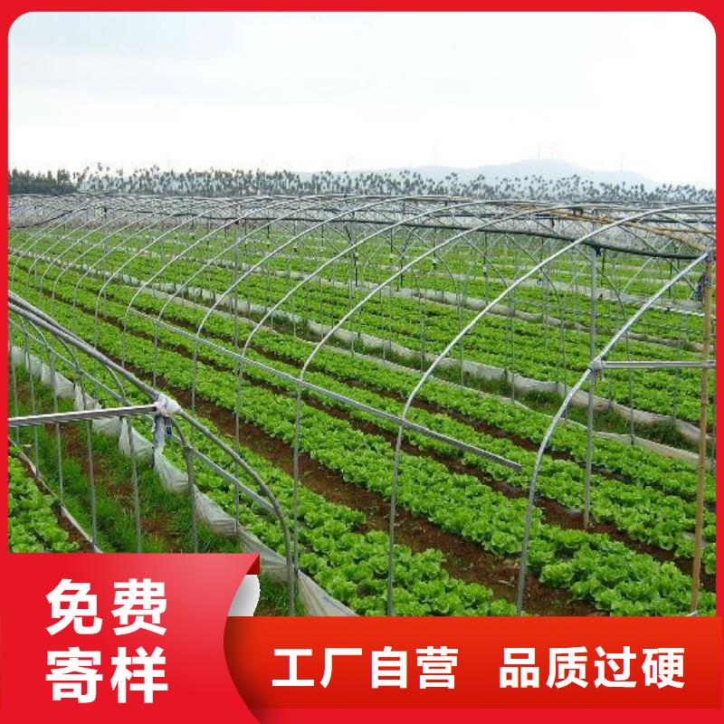 大棚管厂家技术完善