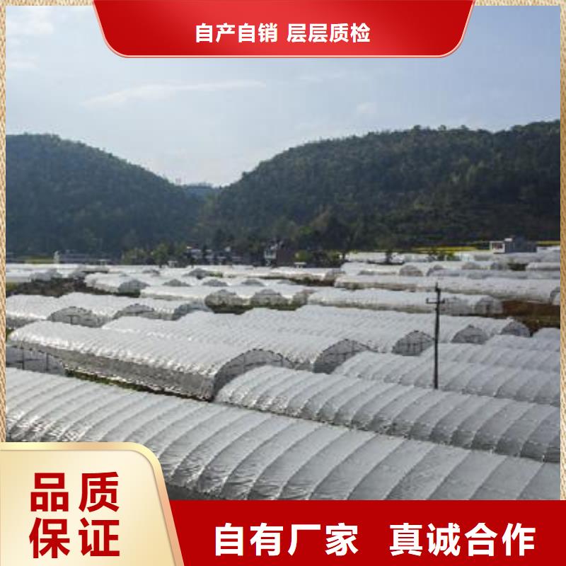 大棚管方管用心制作