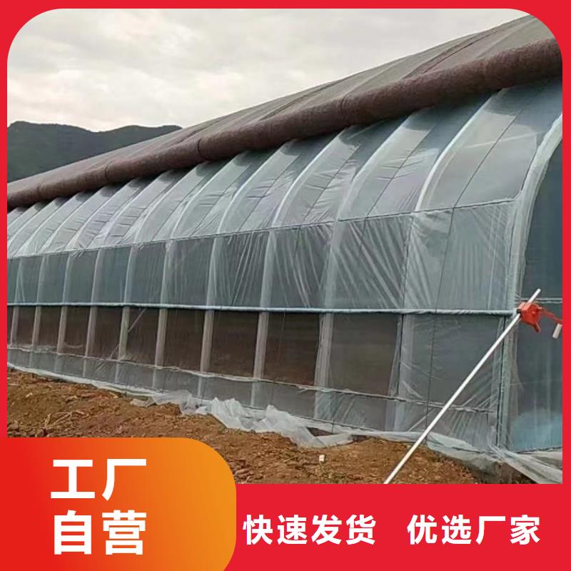 【大棚管】连栋大棚管好品质售后无忧