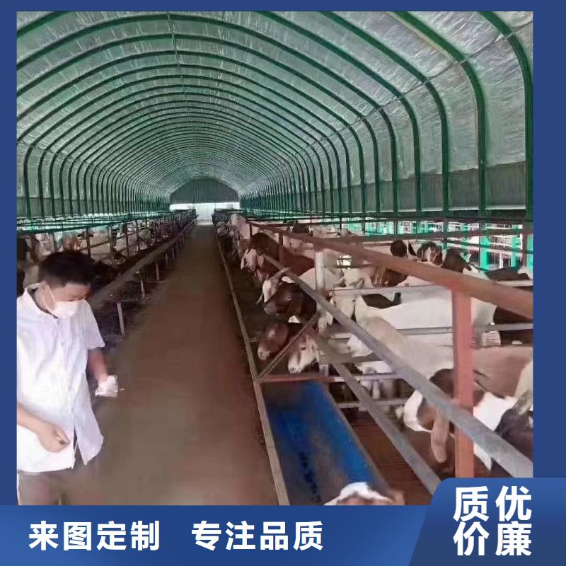 【大棚管,大棚管欢迎来电咨询】