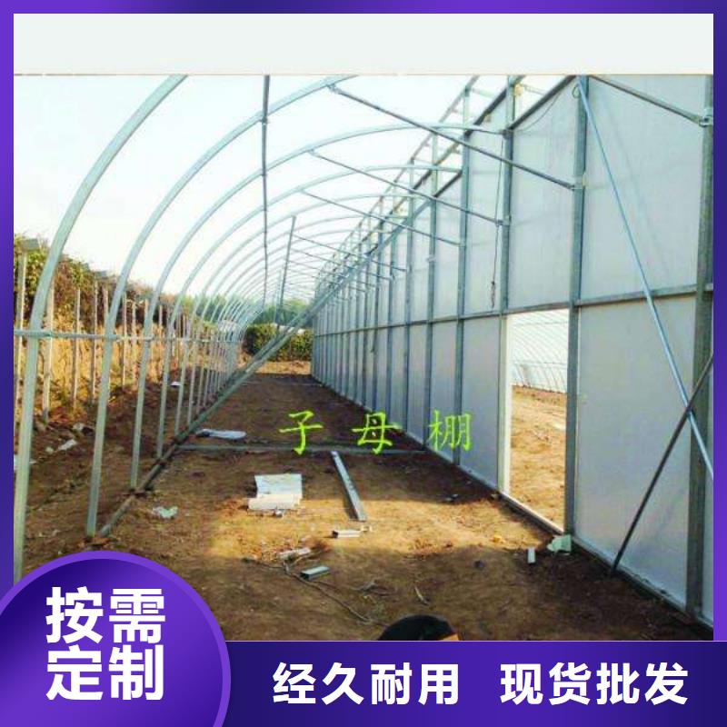 【大棚管】连栋大棚管好品质售后无忧