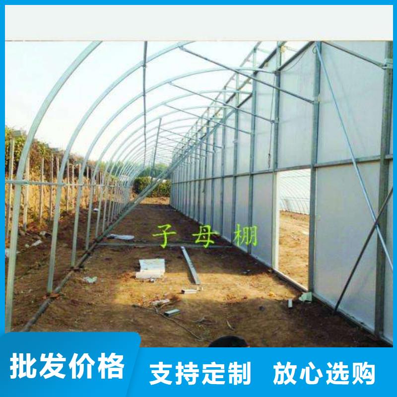 大棚管【温室大棚管】工期短发货快