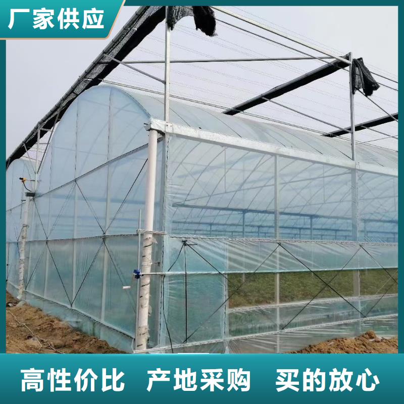 泰顺【本地】大棚管椭圆管温室大棚实力工厂