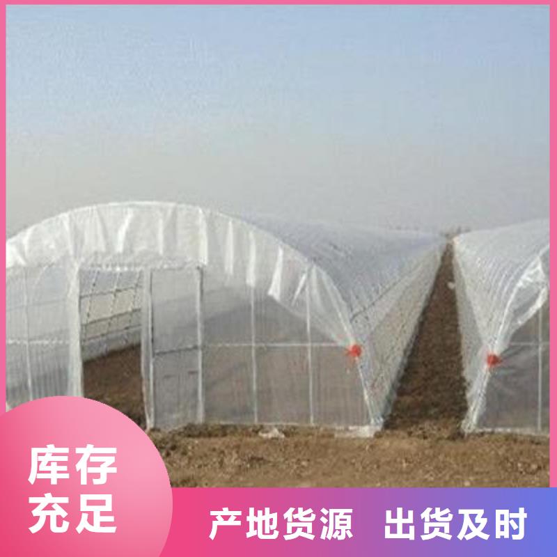 文成 【大棚管】 镀锌大棚管拒绝差价