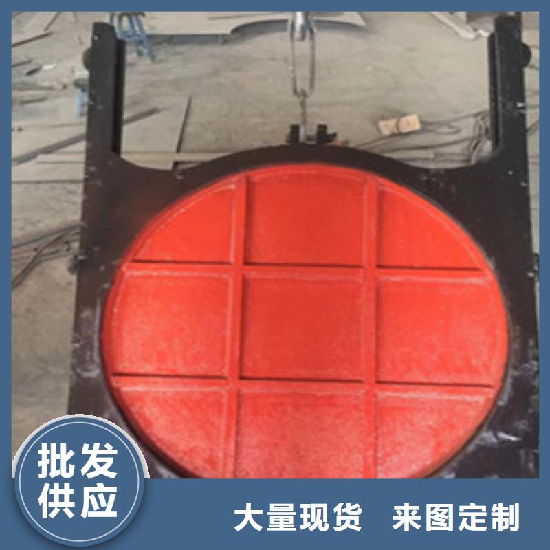 铸铁闸门移动式启闭机按需定制