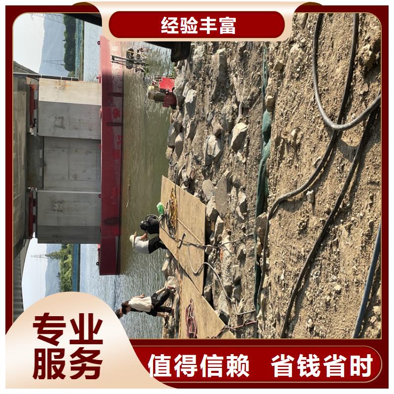 水下摄像录像公司市里就有「苏龙潜水队」