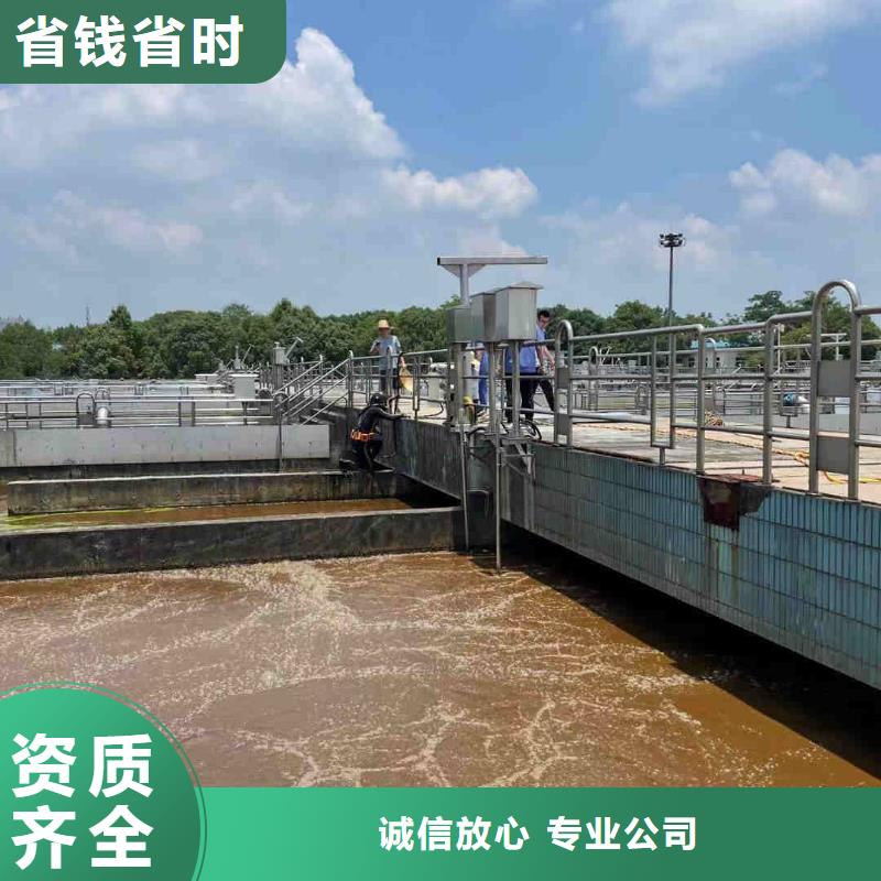 水下摄像录像公司共赢