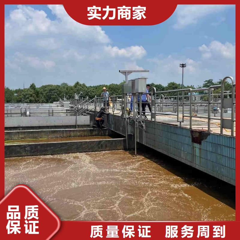 闸门水下堵漏公司欢迎咨询
「苏龙潜水队」