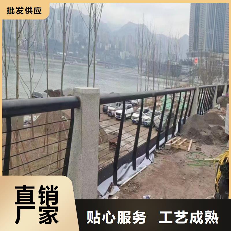 2025专注品质##河道桥梁防护隔离栏##质量保证