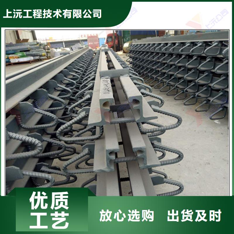 桥梁伸缩缝,连廊支座保质保量