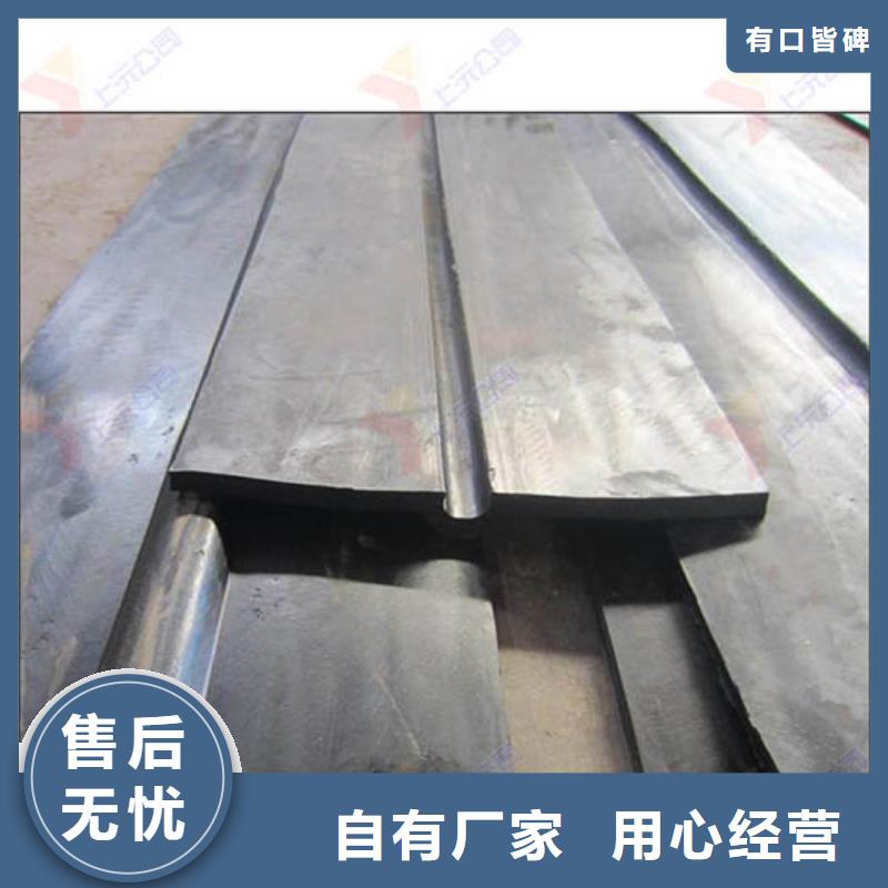 橡胶止水带万向转动支座源头厂家