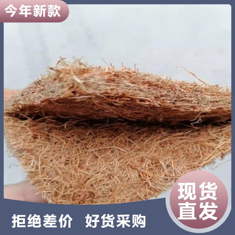 【沥青木板_钢塑土工格栅品质保证】