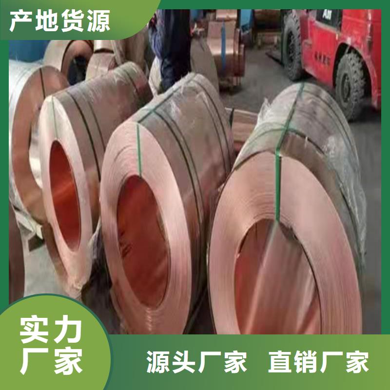铜排铜片-护坡土工网精致工艺
