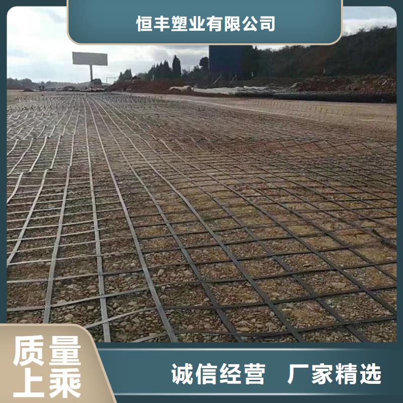 钢塑土工格栅【三维植被网】厂家直销货源充足