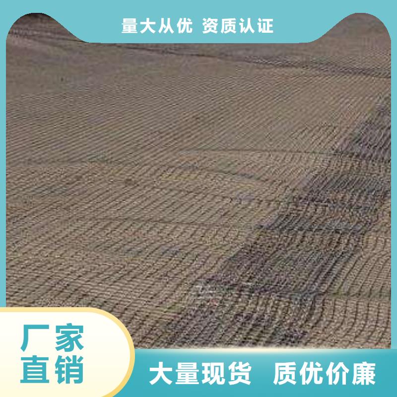 玻纤土工格栅单向塑料土工格栅追求品质