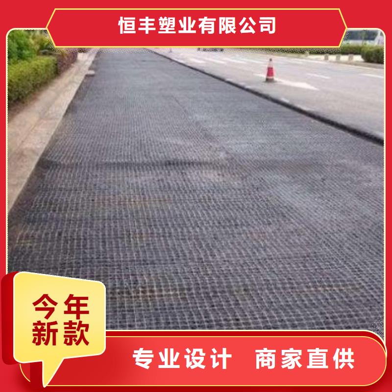 玻纤土工格栅单向塑料土工格栅追求品质