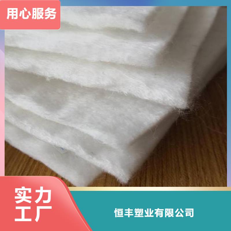 土工布【PP焊接土工格栅】品质保证