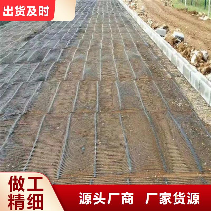 单向塑料土工格栅-复合土工膜精心打造